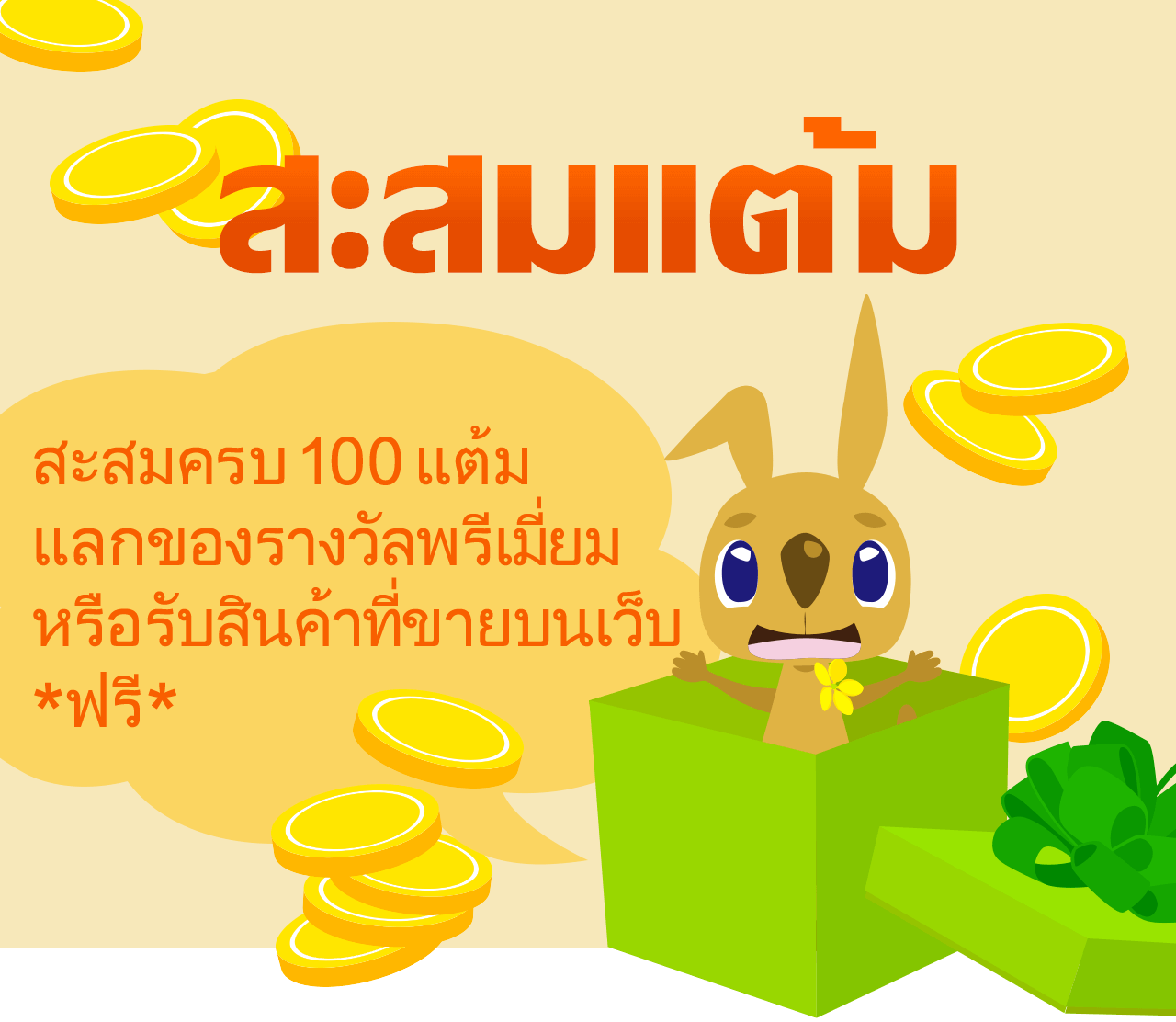 Special Promotion Set รีวิว