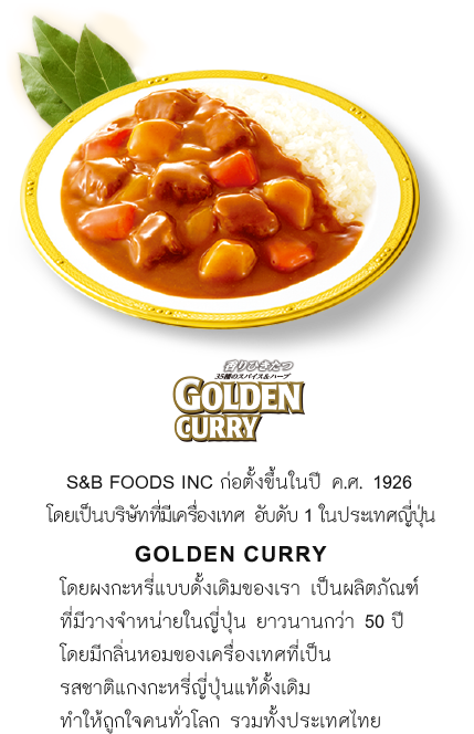 S&B แกงกะหรี่ญี่ปุ่นก้อนพร้อมปรุง Golden Curry (รสเผ็ดกลาง)