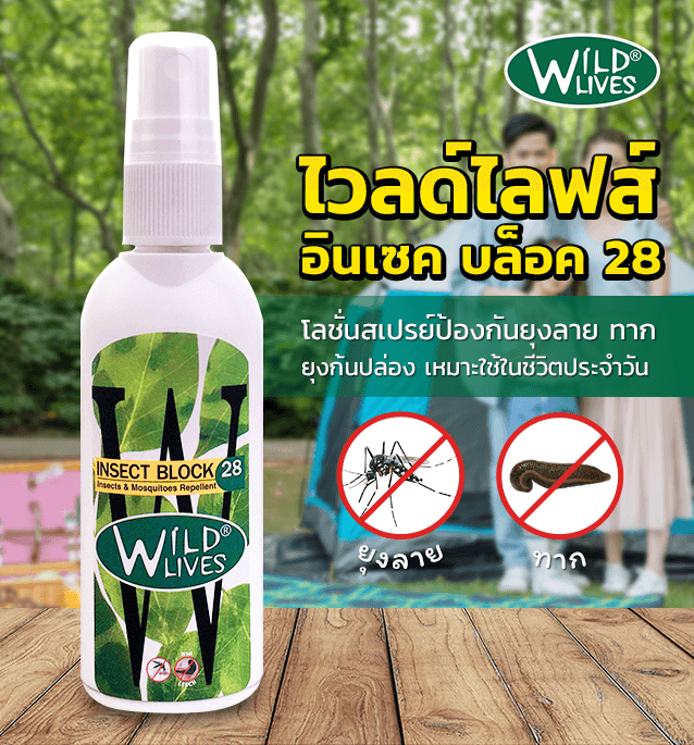 Wild Lives Insect Block 28 รีวิว